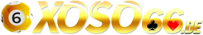 LOGO vnsoxo